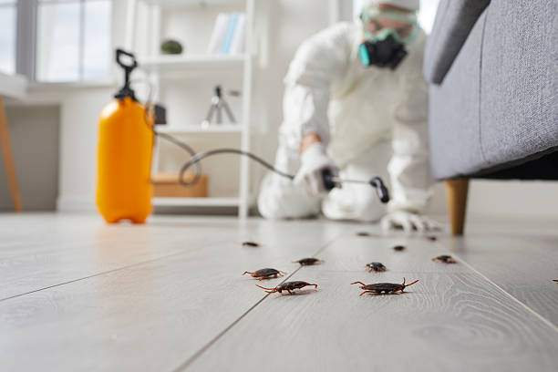 Commercial Kitchen Cockroach Control in Louisville